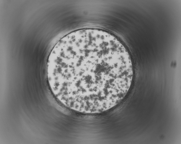 X0000111181371200908121101