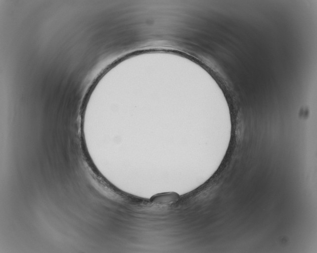 X0000111181372200908121101