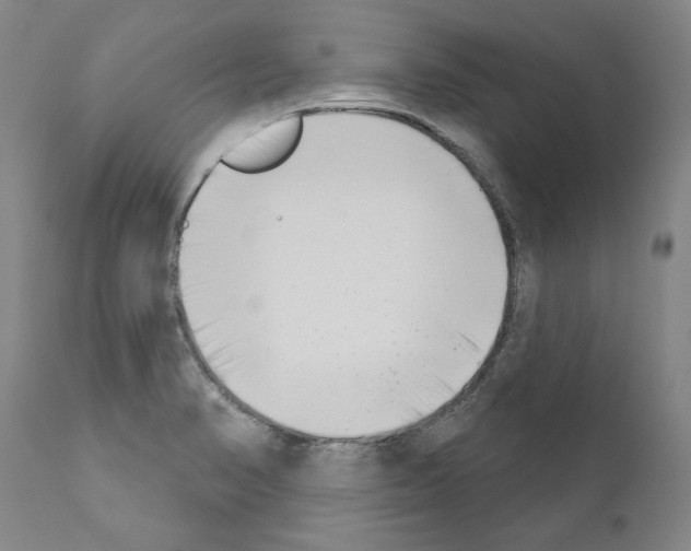 X0000111181374200908121101