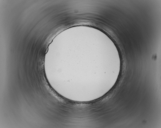 X0000111181377200908121101