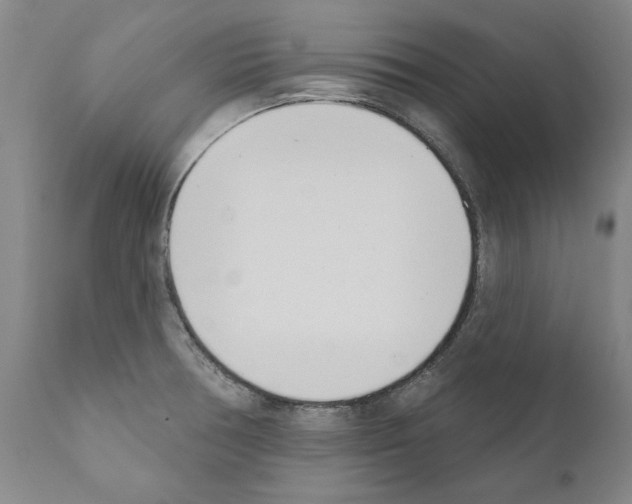 X0000111181378200908121101