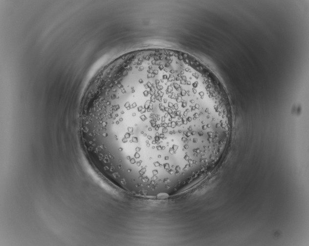 X0000111181381200908121100