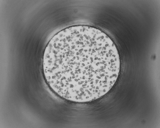 X0000111181383200908121100