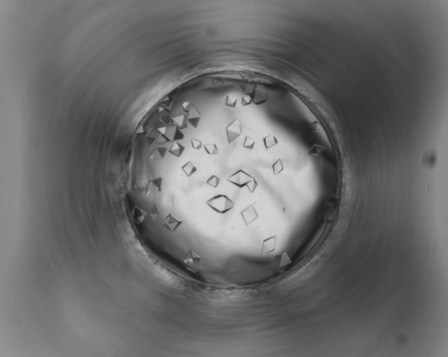 X0000111181385200908121100