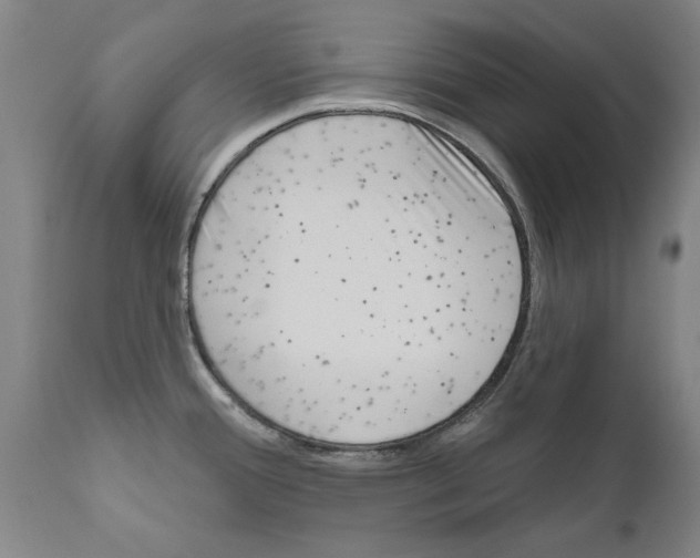 X0000111181388200908121100