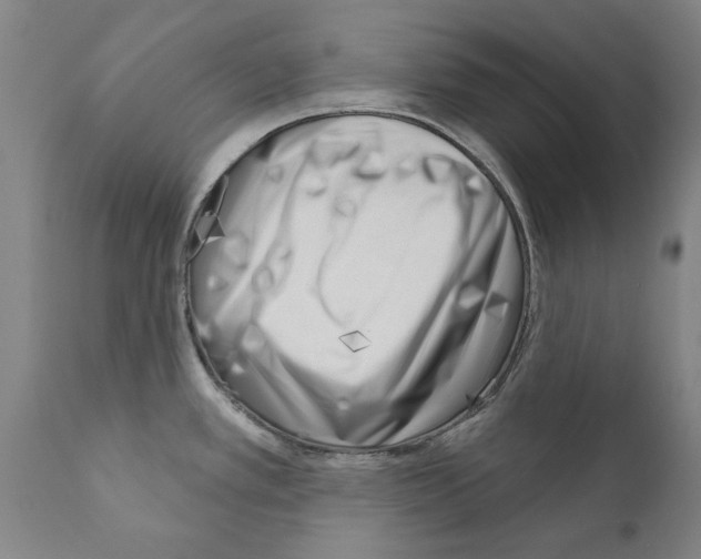 X0000111181389200908121100