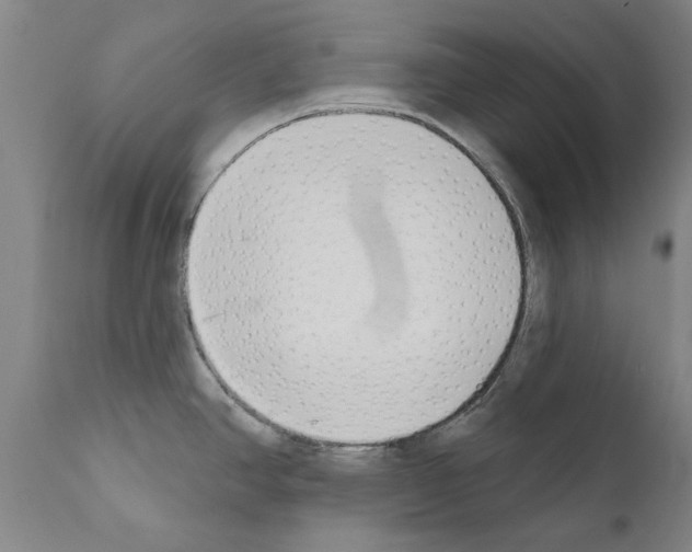 X0000111181390200908121100