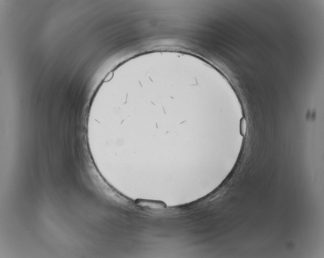 X0000111181392200908121100