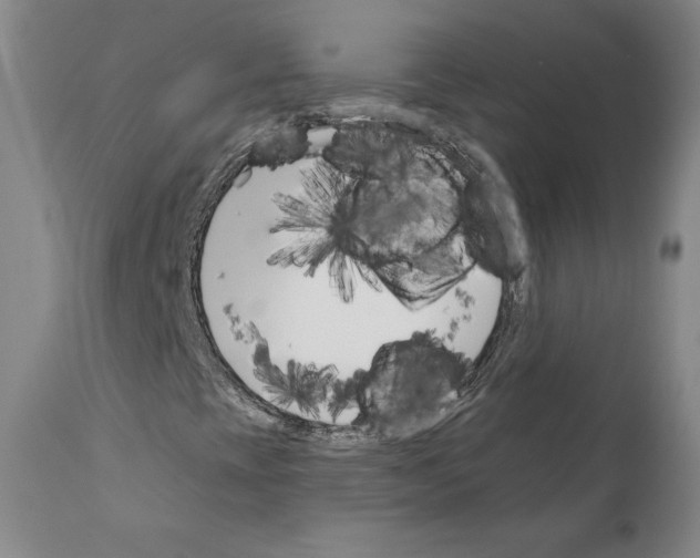 X0000111181393200908121100