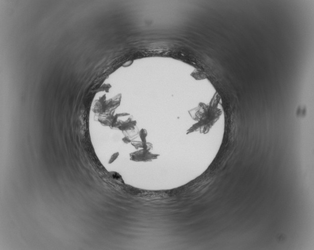 X0000111181394200908121100