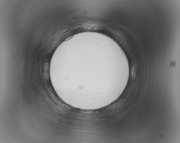 X0000111181396200908121100