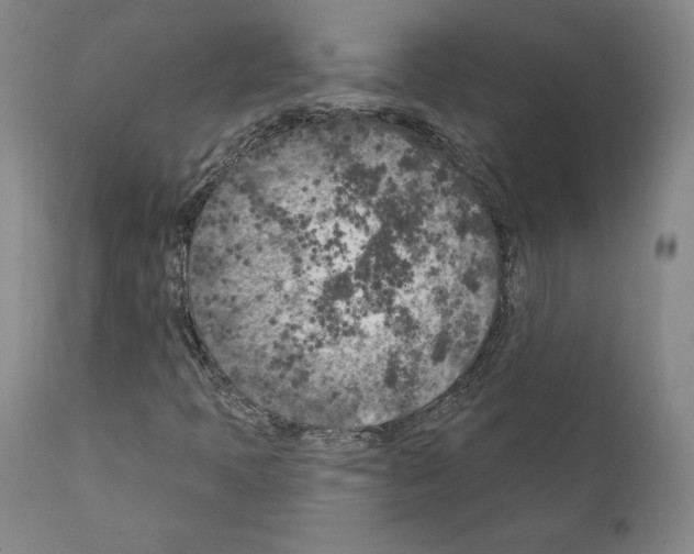 X0000111181397200908121100