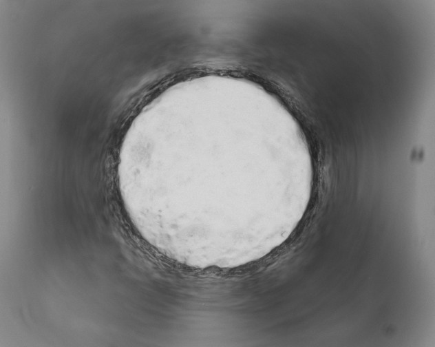 X0000111181398200908121100