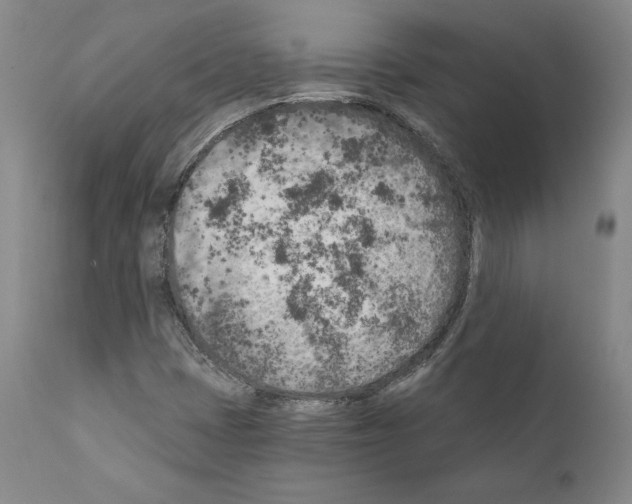 X0000111181401200908121100