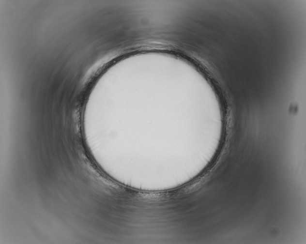 X0000111181402200908121100