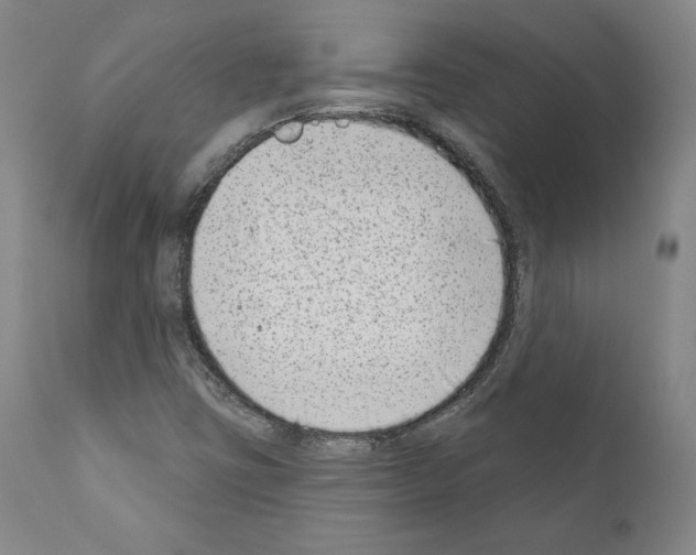 X0000111181403200908121100