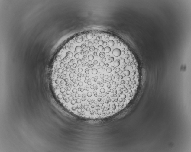 X0000111181404200908121100