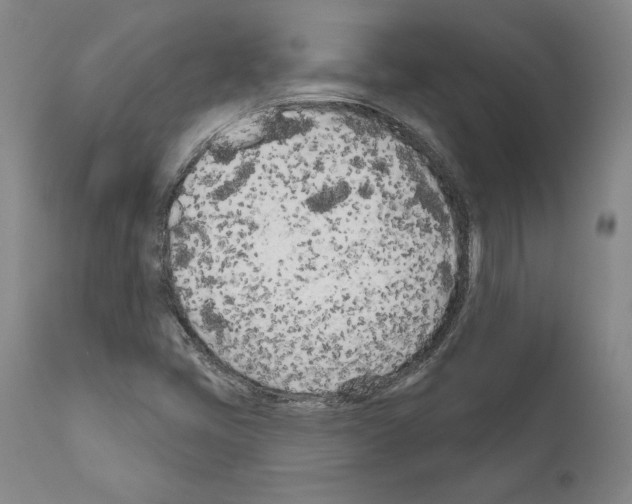 X0000111181405200908121100