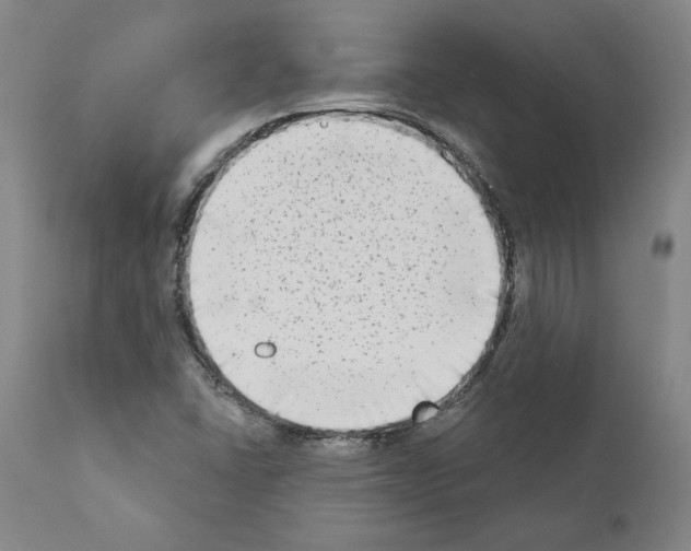 X0000111181406200908121100