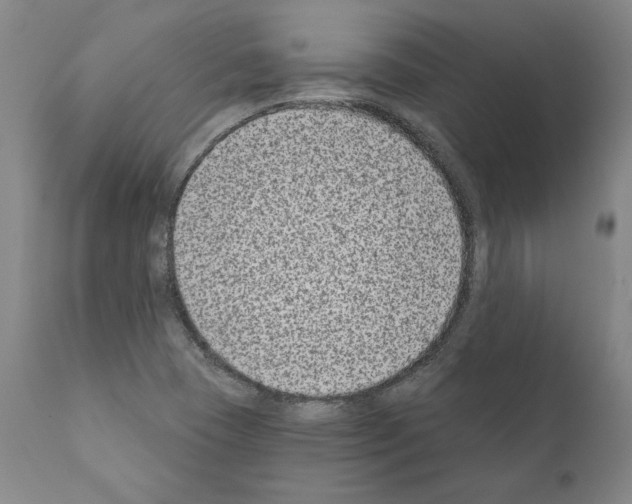 X0000111181409200908121100