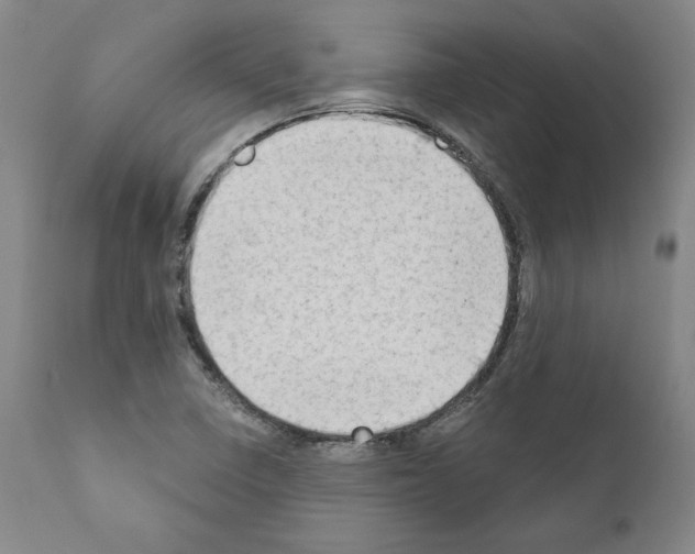 X0000111181410200908121100