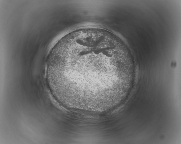 X0000111181413200908121100