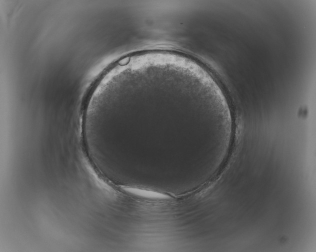 X0000111181414200908121100