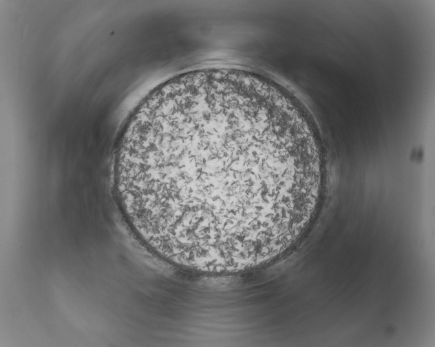 X0000111181415200908121100