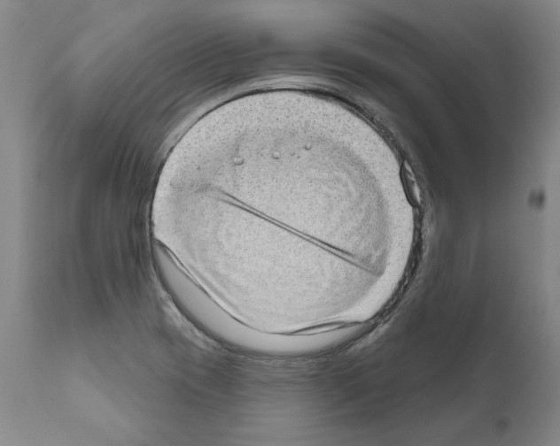 X0000111181417200908121100