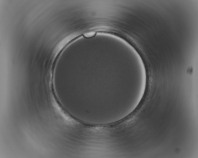 X0000111181418200908121100