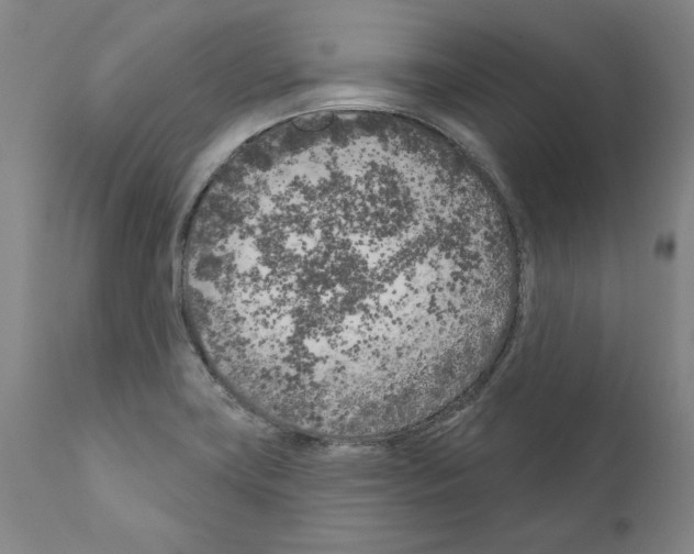 X0000111181419200908121100