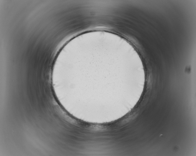 X0000111181420200908121100