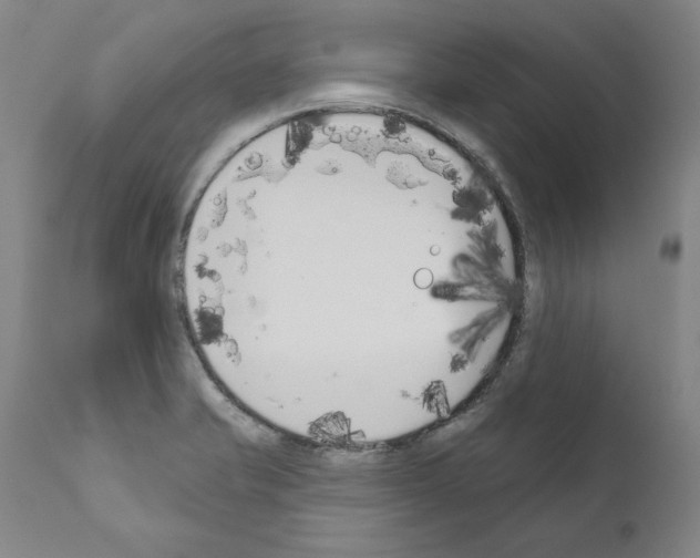 X0000111181421200908121100