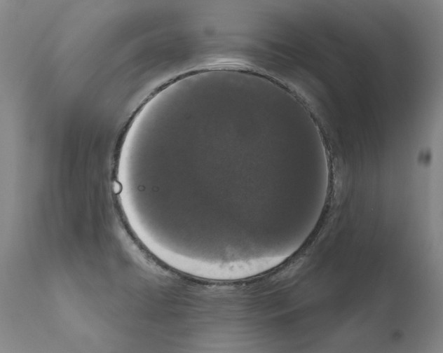 X0000111181422200908121100