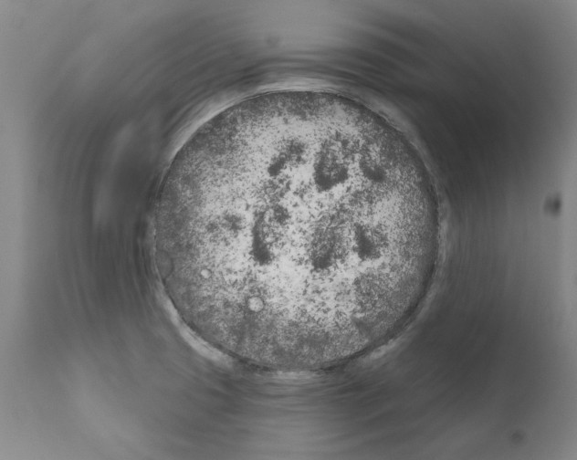 X0000111181425200908121100