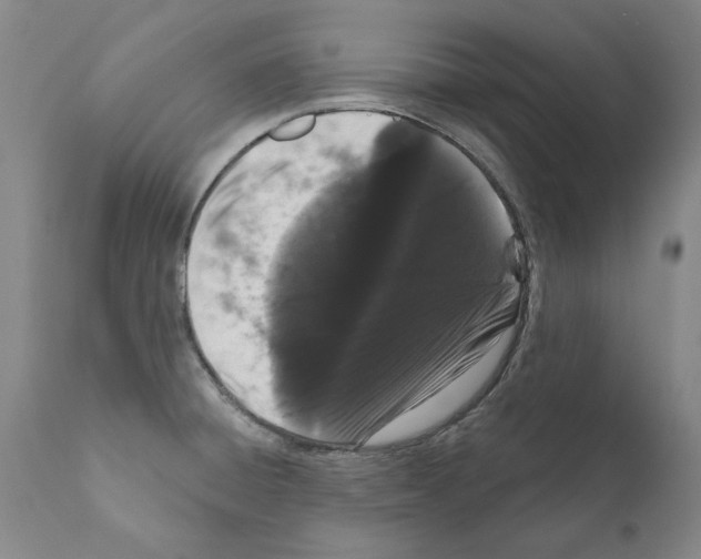 X0000111181428200908121100