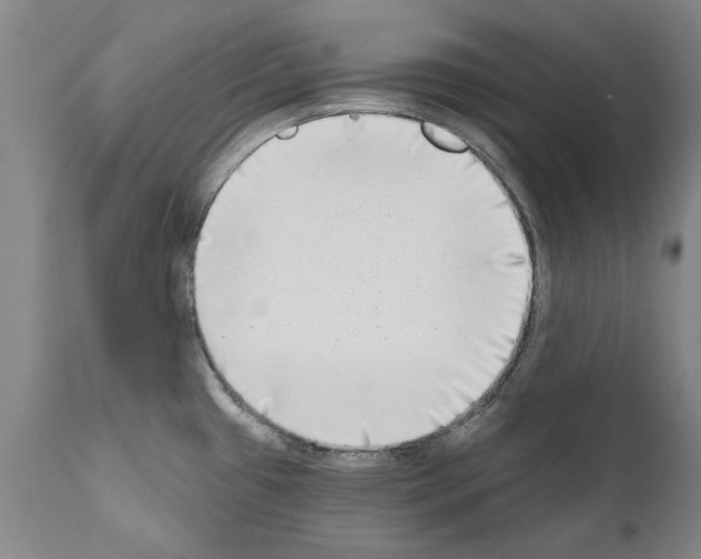 X0000111181433200908121100