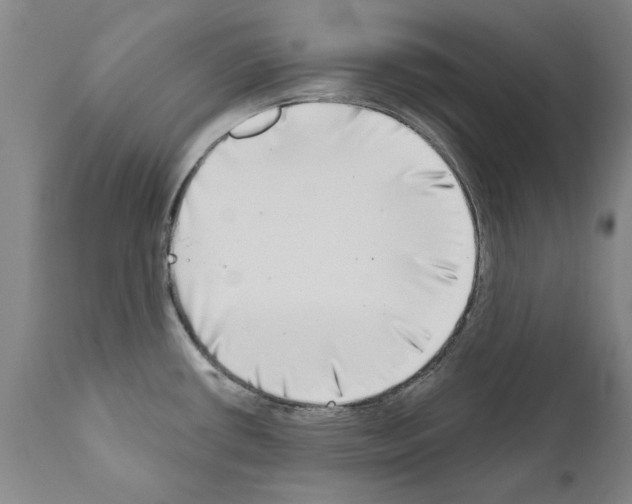 X0000111181434200908121100