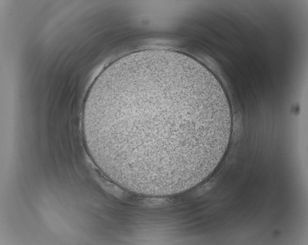 X0000111181435200908121100