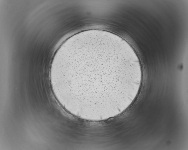 X0000111181436200908121100