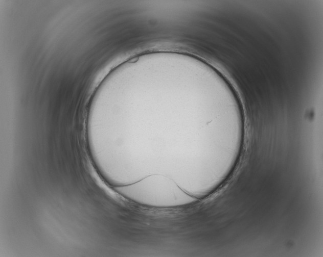 X0000111181437200908121100