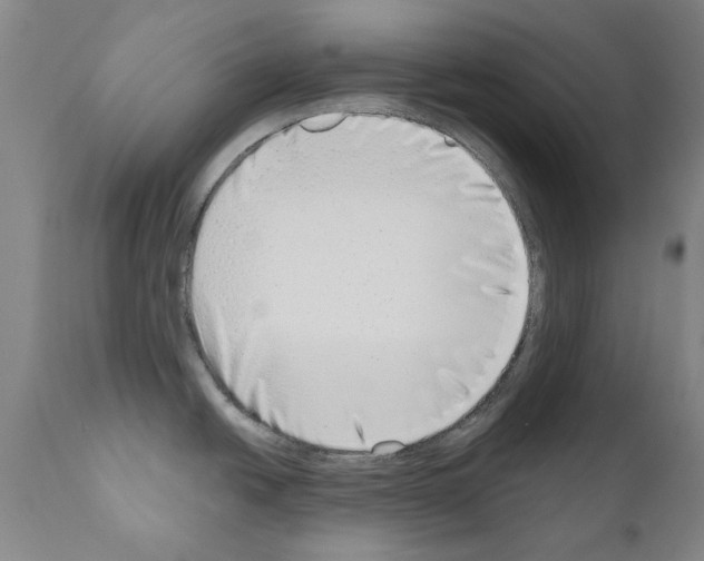 X0000111181438200908121100