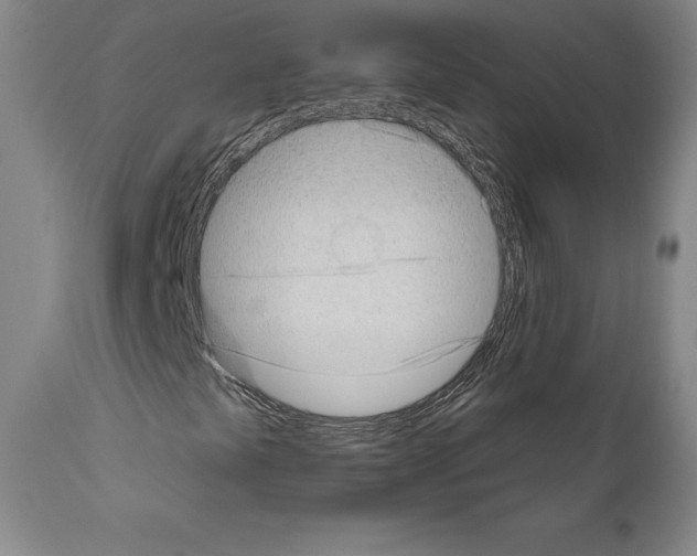 X0000111181441200908121100