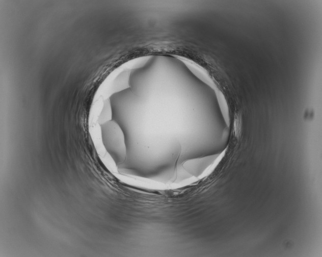 X0000111181444200908121100