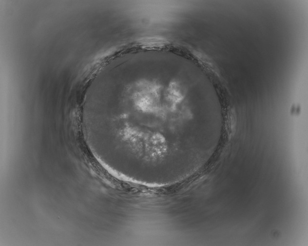 X0000111181445200908121100