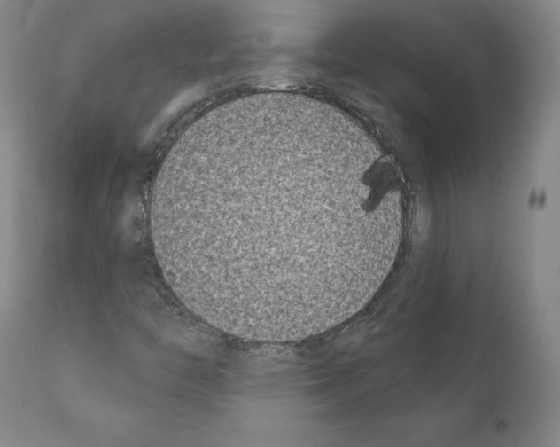 X0000111181446200908121100