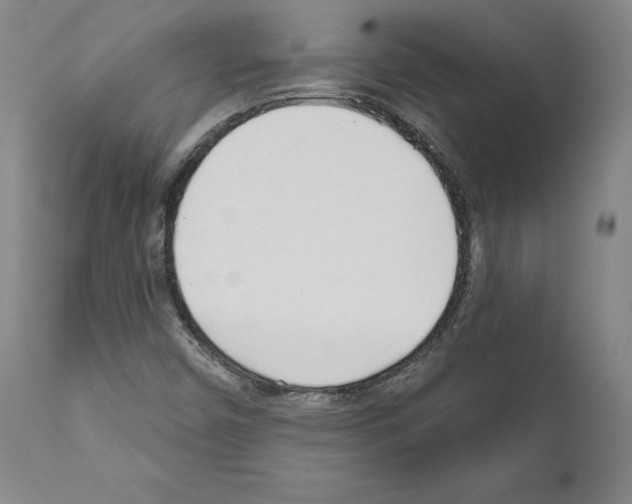 X0000111181450200908121100