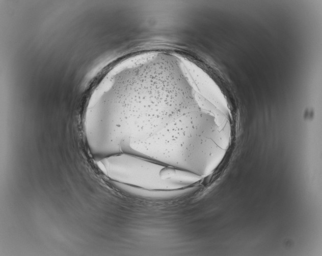 X0000111181453200908121059