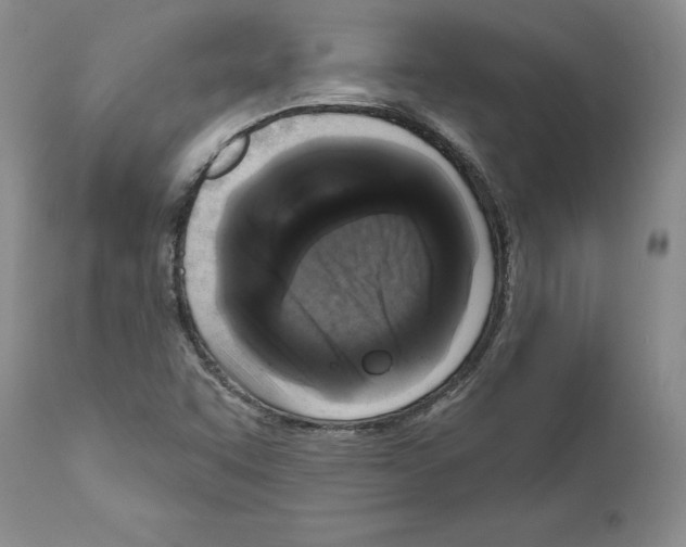 X0000111181455200908121059