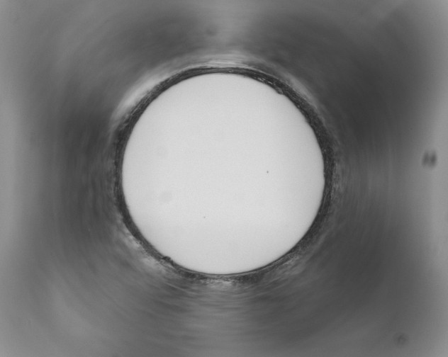 X0000111181456200908121059